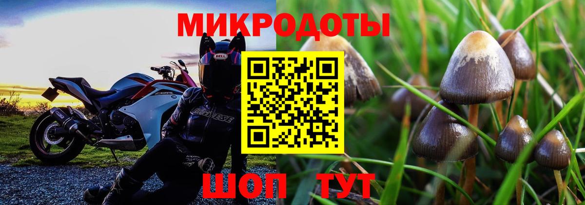Псилоцибиновые грибы прущие грибы  Вход с VPN  дарнет шоп  Набережные Челны 